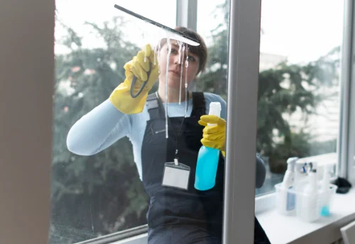 Nettoyage de vitres intérieures et extérieures à Saint-Georges-de-Noisné